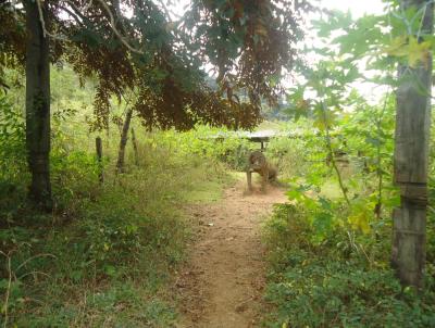 Fazenda para Venda, em Marliéria, bairro Jacroá, 2 dormitórios, 1 banheiro, 2 vagas